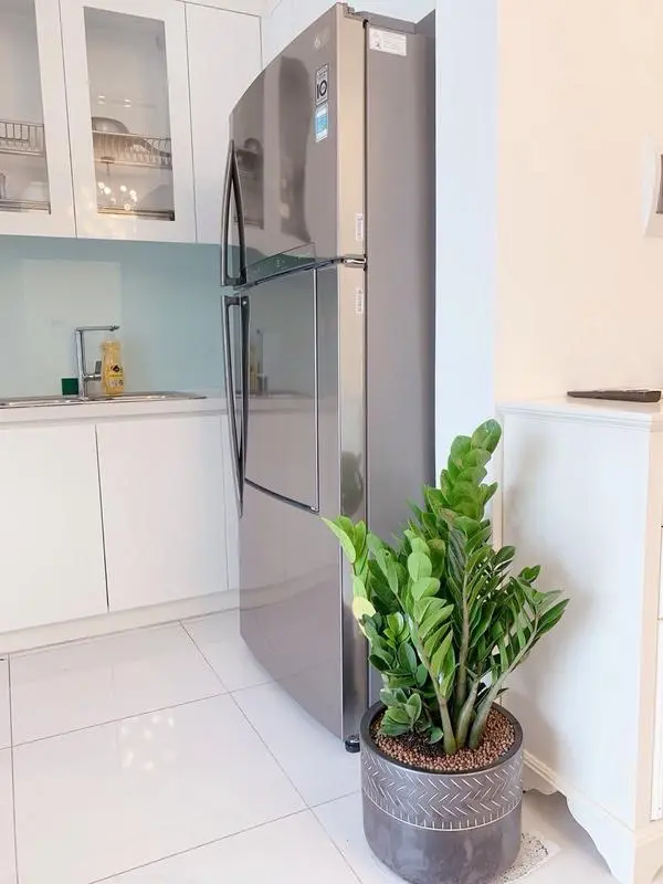 Ảnh căn hộ 5