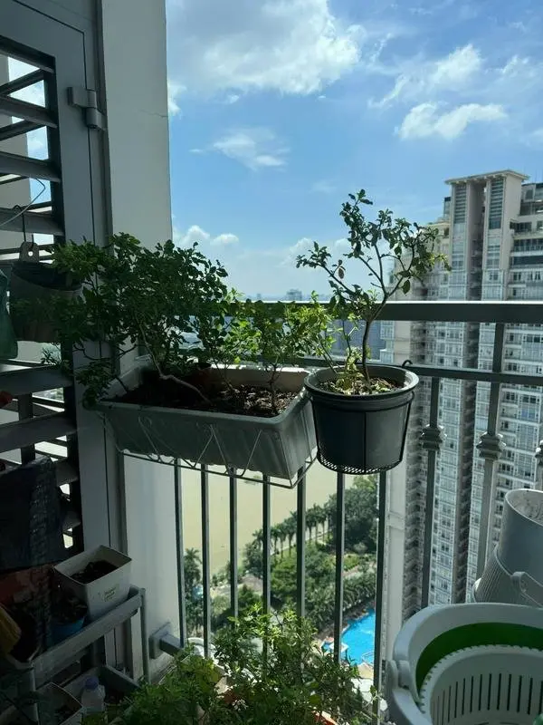 Ảnh căn hộ 5